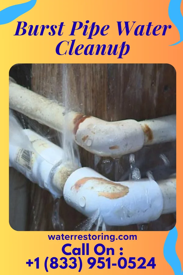 Burst Pipe Water Cleanup in Shelby, OH