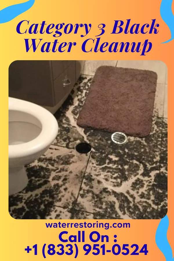 Category 3 Black Water Cleanup in Shelby, OH